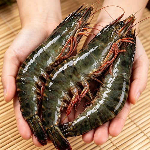 Frozen Giant Tiger Prawns (photo 2)
