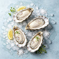 Frozen Half-Shell Oysters (photo 1)